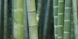 Django QuerySet如何排序才能确保数据按预期顺序显示