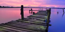 Ruby on Rails中的RSS生成是什么？如何在Rails应用中创建动态RSS视图？
