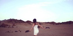 怎么用Ajax和PHP实现动态数据交互