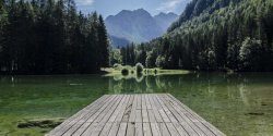 如何使用Webpack 5生成压缩与未压缩的静态资源
