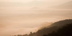 如何解决Symfony与Docker数据库连接中的主机名解析问题