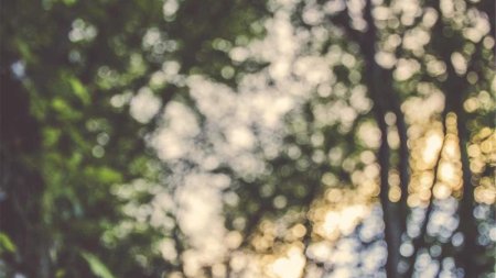 Laravel框架中如何定义路由？有哪些常用的设置方法与实例参考