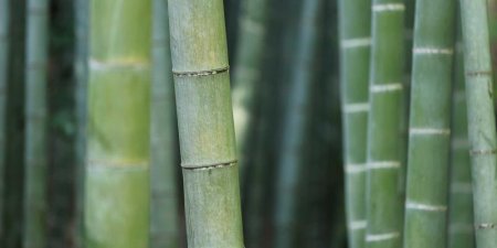 HTML5网页如何制作粒子特效 HTML5网页动画特效的进阶教程
