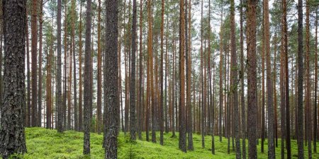 Java怎么用JAXB注解控制XML元素名 @XmlElement