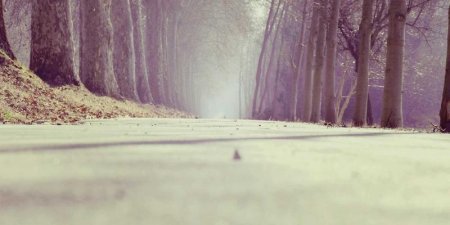 javascript中函数式编程是什么_纯函数与副作用如何理解？