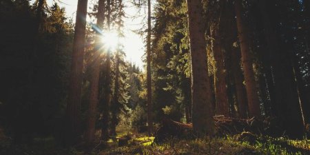C++结构体与类方法结合使用有哪些实用策略？