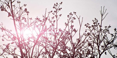 Laravel框架垃圾回收怎么调？Laravel内存释放技巧详解