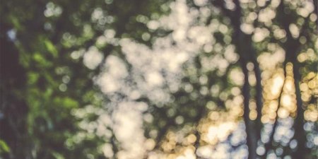 Python怎么更新XML文件中的某个值