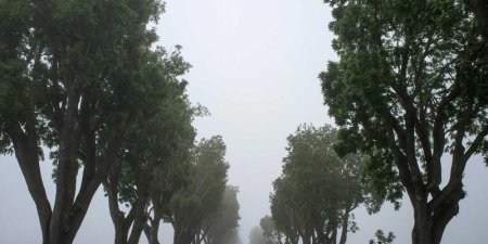 如何通过一个小例子理解SQL优化中使用索引的基础方法