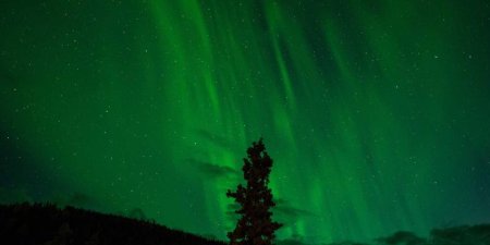 SEO优化越来越难？还是SEO优化从业者能力不行？
