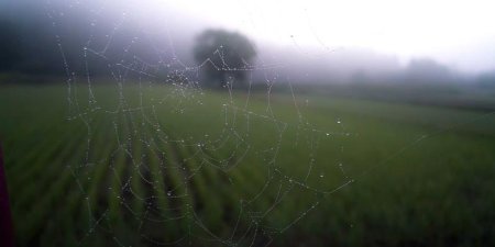mysql主从复制日志文件有什么作用？mysql binlog机制说明