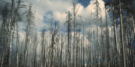 如何用XPath计算节点数量，count()函数怎么使用？