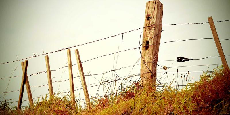 如何优化SQL存储过程逻辑分支_将高频路径放在条件前方
