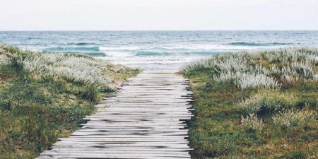 Symfony测试环境中如何访问私有服务？最佳实践与替代方案解析