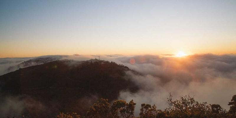 Golang HTTP 请求连续发送时为什么会遇到 EOF 错误该怎么解决