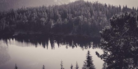 C#如何使用互斥锁Mutex实现跨进程的线程同步