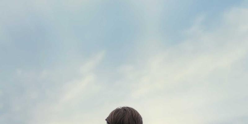 如何让DV/IPV支持网站不保存于浏览器历史记录中