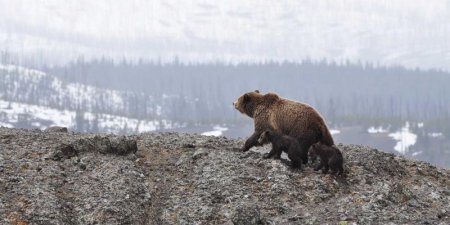 CentOS7下怎么一步步安装并配置MySQL5.7数据库？