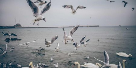 PHP命名空间是如何影响类的定义与调用的