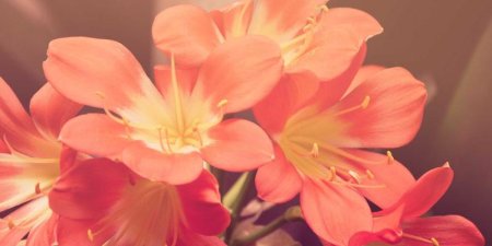 企业网站建设的这些流程细节你都清楚吗