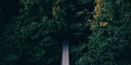 Golang如何实现路由中间件链