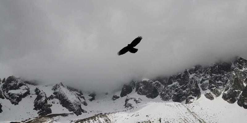 linux中创建目录命令是什么?mkdir用法与常见参数详解