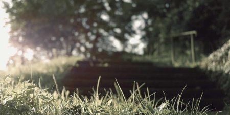 如何在 Go 中获取并保存基准测试结果