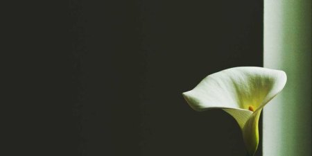 linux中less和more的区别有哪些