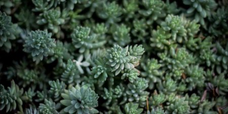 如何用Python状态机优雅地管理复杂业务流程？