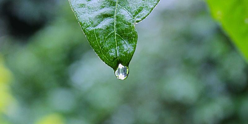 mkdir函数在Linux中与Windows中的区别是什么