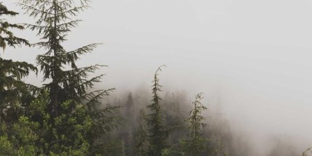 SQL怎么处理多级目录结构的嵌套查询与递归路径查询实现