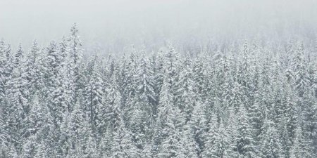 C#如何创建一个不在线程池上运行的Task？LongRunning选项怎么用