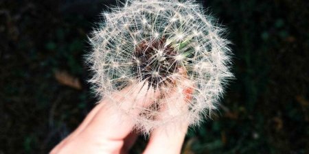 XML行为(behavior)是新的DHTML吗？两者核心区别在哪？