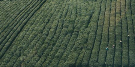 如何用Pandas清洗并读取含有冗余文本的CSV文件？