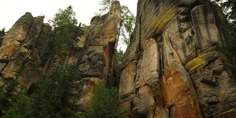 为什么Go语言要求函数所有条件分支都必须有返回值？