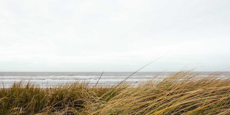微信公众号自定义菜单跳转小程序时旧版本微信不支持路径参数该怎么兼容处理