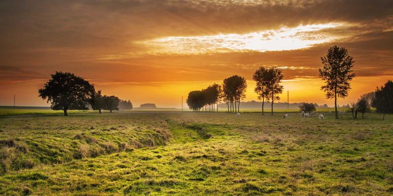 如何解决多Agent通信混乱：消息协议与路由机制设计实践