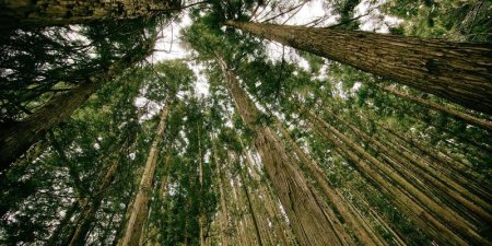 如何在Golang中实现错误日志分级_区分普通错误和严重错误