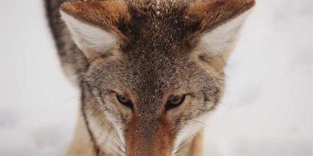 百度相关搜索的形成原理是什么