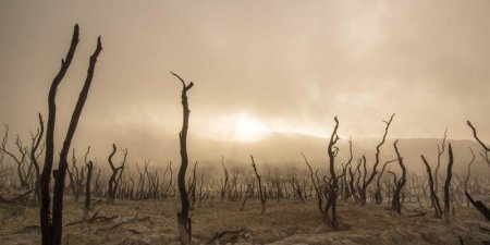 mysql如何快速分析上G的慢查询日志？用pt-query-digest生成性能报告实战