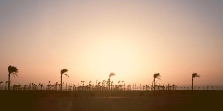 Python爬虫框架怎么选？Scrapy与BeautifulSoup深度对比与实战解析