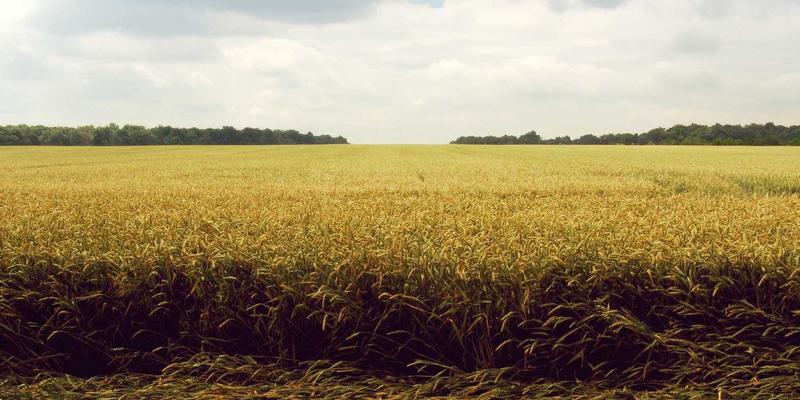 如何解决3D模型元数据丢失问题?自定义属性方案详解