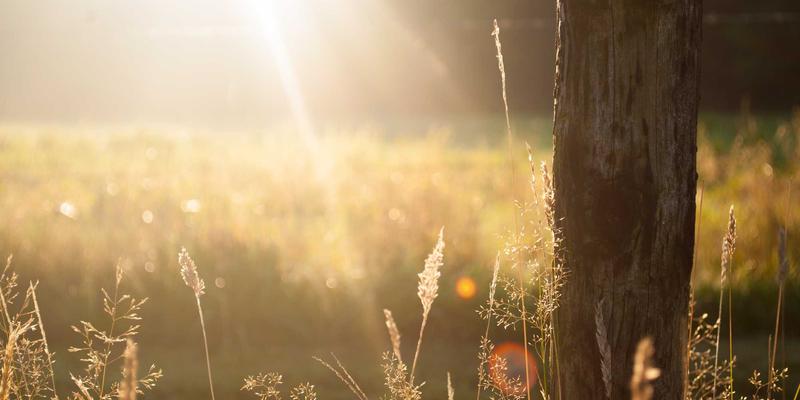 如何在Vue 3工程化项目中构建eDP嵌入式显示端口监控面板?