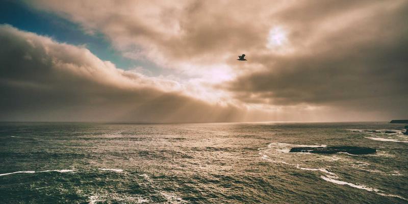 Android bool.xml布尔值资源怎么用？在XML中定义true或false变量的完整方法